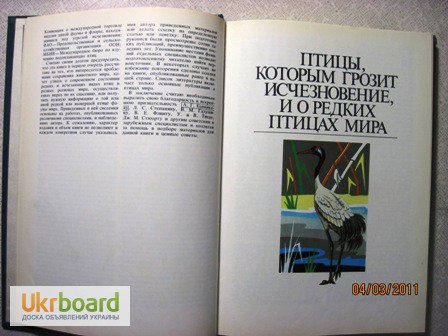 Фото 6. Винокуров А.А. Редкие птицы мира. 1987г