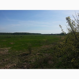 Срочно продам отделенный земельный пай в Полтавской области