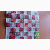 Безкоштовний каталог насіння овочів та квітів