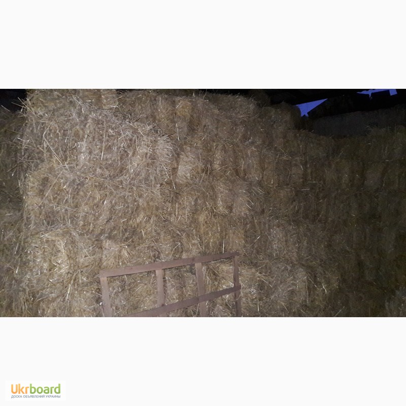 Фото 2. Солома ячневая и пшеничная в тюках