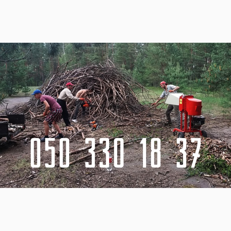 Фото 3. Удаление деревьев Киев. Спил Деревьев в Киеве. Дробление веток Киев