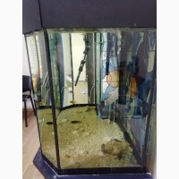 Продам аквариум 150 литров