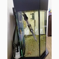 Продам аквариум 150 литров