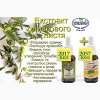 Екстракт оливкового листя нерви, тиск, імунітет, пігментація, зморшки, цукор Ерсаг 2017