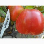 Семена томатов, перца и баклажан.