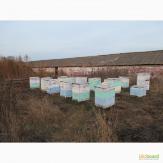 Продам ульи бу, оборудование для пчеловодства