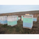 Продам ульи бу, оборудование для пчеловодства
