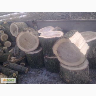 Продам дрова дубовые (колотые и кругляк)