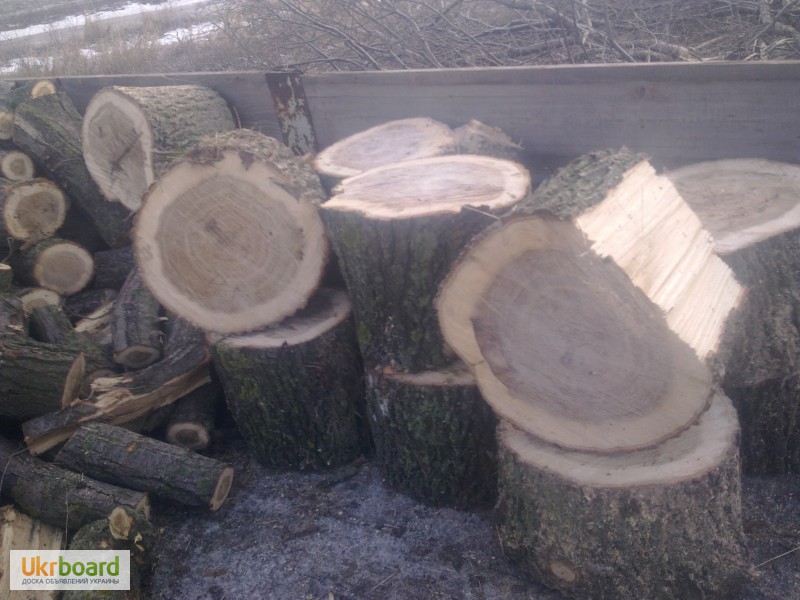 Продам дрова дубовые (колотые и кругляк)