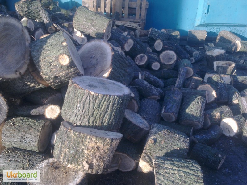 Фото 2. Продам дрова дубовые (колотые и кругляк)