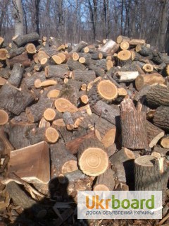 Фото 4. Продам дрова дубовые (колотые и кругляк)