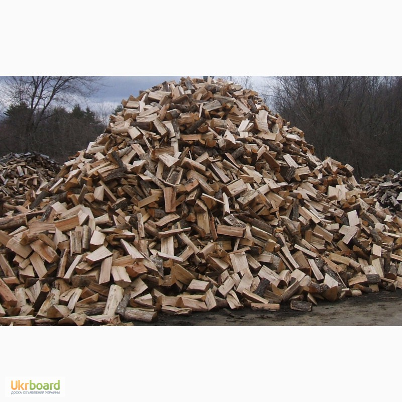 Фото 5. Продам дрова дубовые (колотые и кругляк)