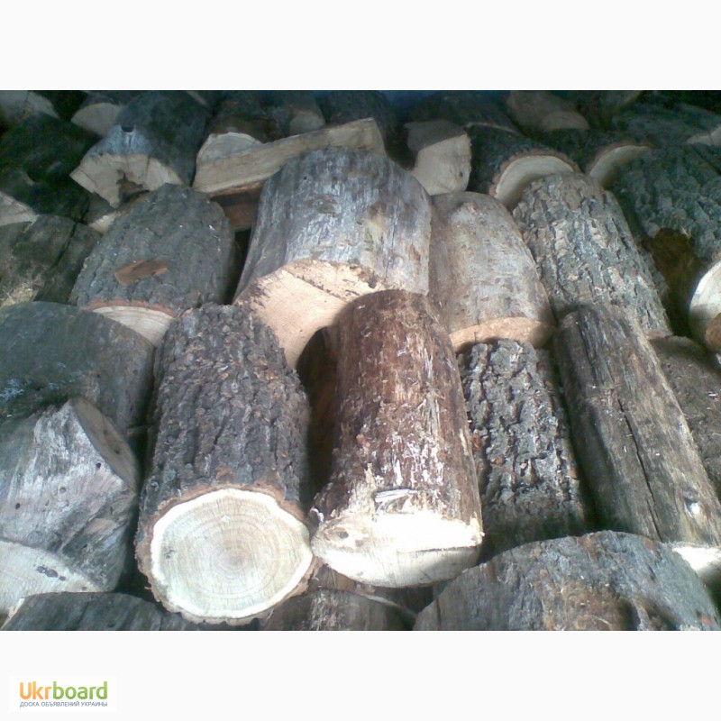 Фото 6. Продам дрова дубовые (колотые и кругляк)
