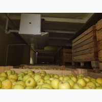 Продам камера хранения яблок