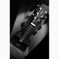 Акустическая гитара (Dreadnought - cutaway) Trembita DcGTH