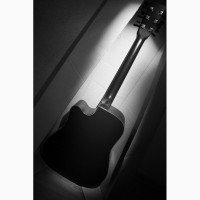 Акустическая гитара (Dreadnought - cutaway) Trembita DcGTH