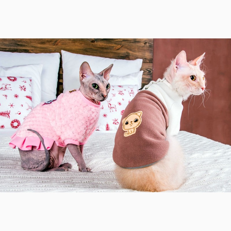 Фото 10. Продам платье кофту для кошек, Кофта - платье с рукавом Frida арт (567-FR)