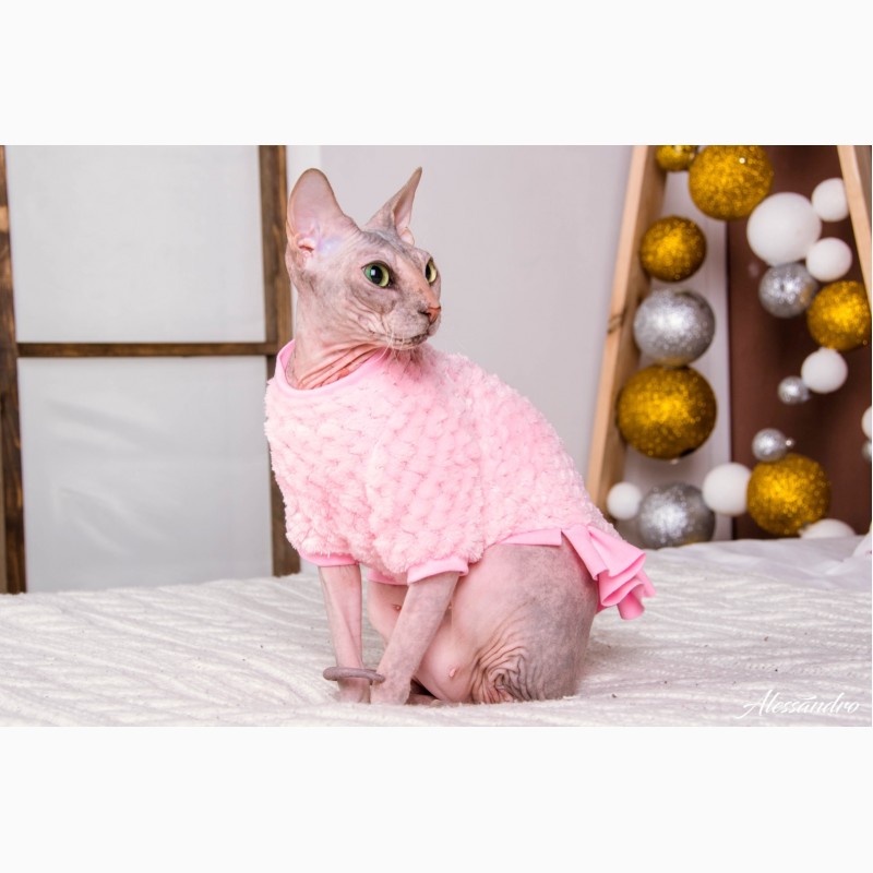 Фото 2. Продам платье кофту для кошек, Кофта - платье с рукавом Frida арт (567-FR)