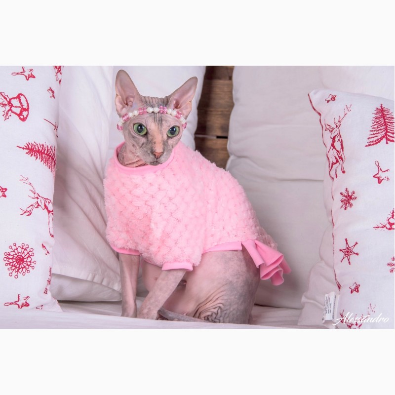 Фото 3. Продам платье кофту для кошек, Кофта - платье с рукавом Frida арт (567-FR)
