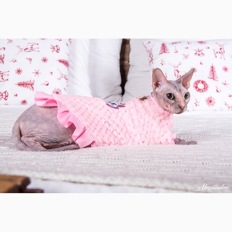Фото 7. Продам платье кофту для кошек, Кофта - платье с рукавом Frida арт (567-FR)