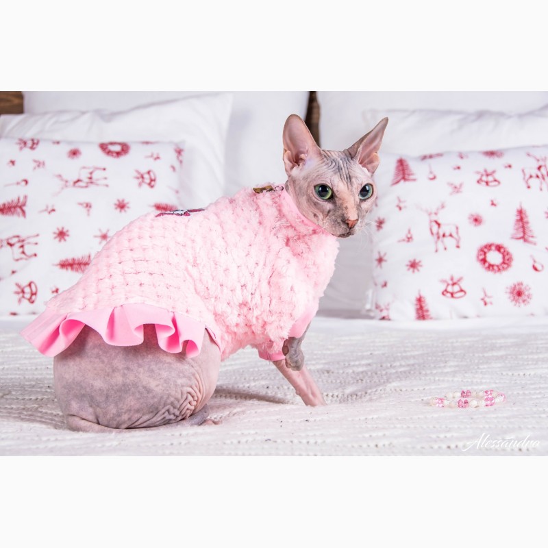 Фото 9. Продам платье кофту для кошек, Кофта - платье с рукавом Frida арт (567-FR)