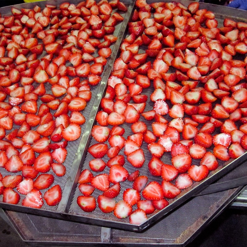 Фото 2. Промышленная сушка ягод, фруктов, овощей