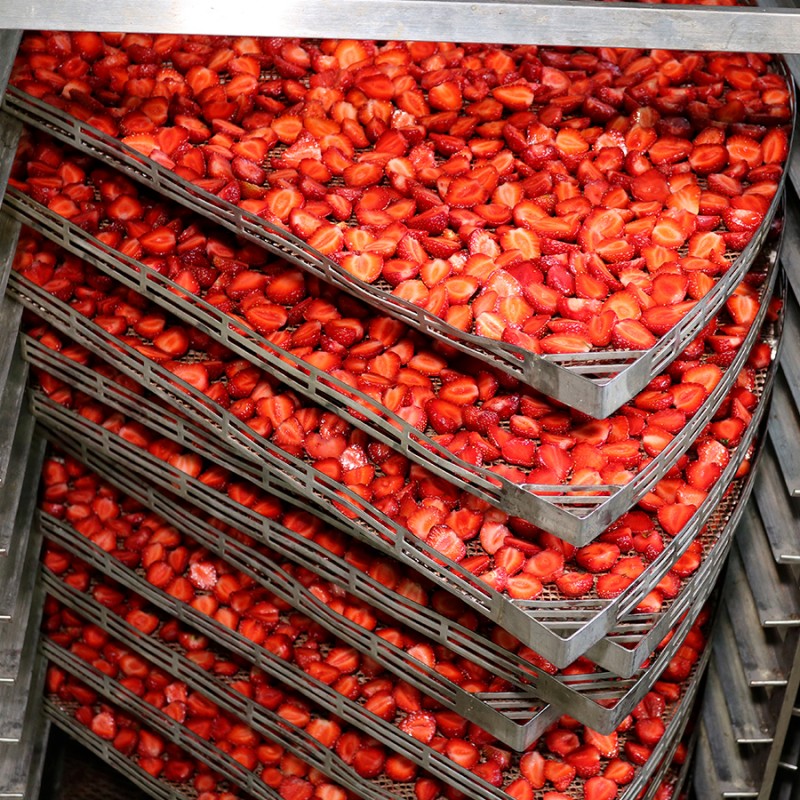 Фото 6. Промышленная сушка ягод, фруктов, овощей