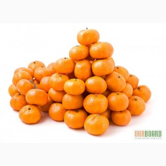 Продам мандарины оптом из Грузии СРОЧНО