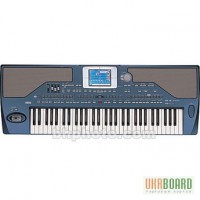 Keyboards ( Korg Pa2x Pro, Korg Pa800, Korg M3, Korg TR 76 )