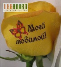 Фото 1/1. Наклейки на цветы Украина