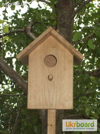Фото 2. Деревянный синичник для птиц