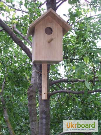 Фото 3. Деревянный синичник для птиц