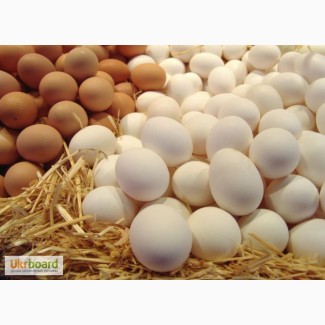 Продам куриное яйцо оптом С-0 11 грн,С-1 9,20 грн.