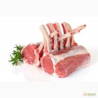 Продам мясо ягнят весом 20-35кг