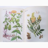 Справочник по заготовкам лекарственных растений