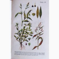 Справочник по заготовкам лекарственных растений