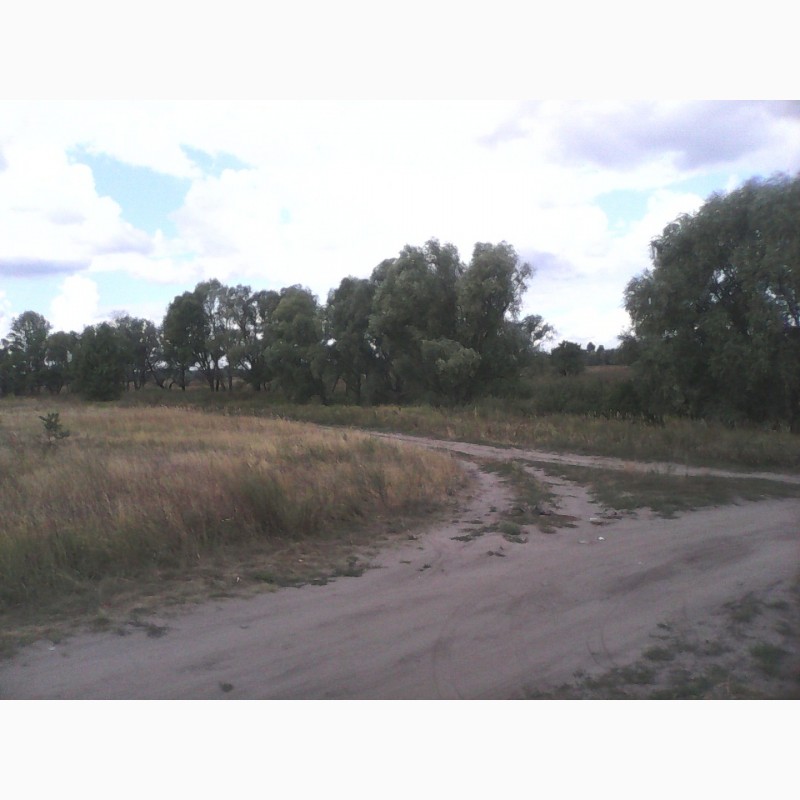 Фото 3. Продам земельні ділянки, Київська область