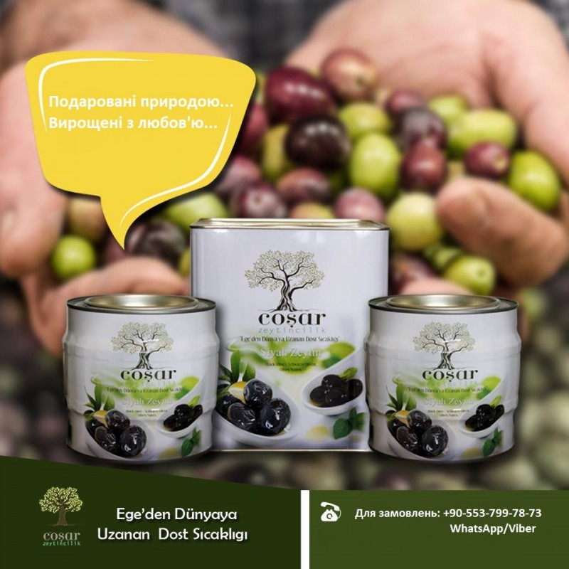 Фабрика из Турции ищет импортеров - оливки от ТМ Cosar Olive Turkey