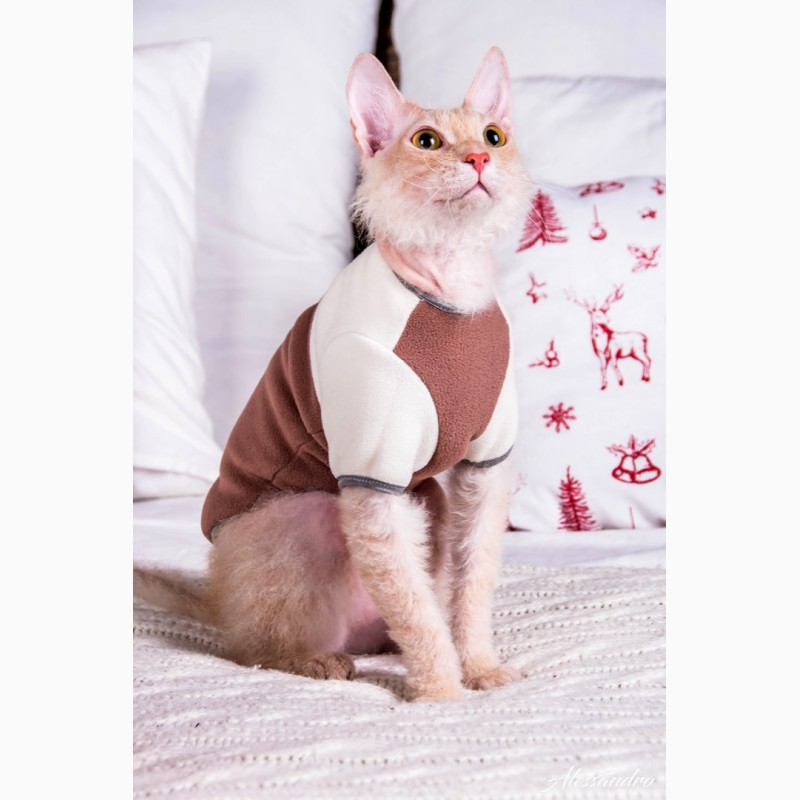 Фото 2. Продам кофту с рукавом для кошек, сфинкса, Кофта с рукавом Mikro - f Coffee