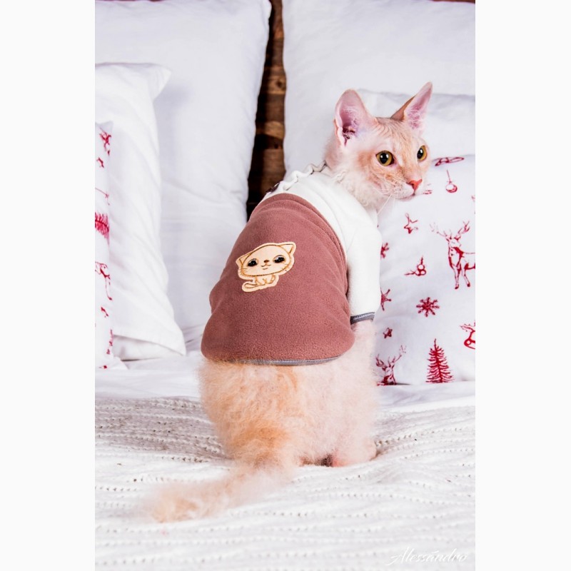 Фото 7. Продам кофту с рукавом для кошек, сфинкса, Кофта с рукавом Mikro - f Coffee