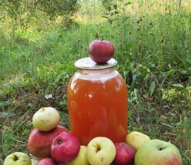 Фото 4. Уксус яблочный домашний с горного сада Карпат