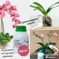 Жива М Синтез эко-удобрение для орхидей