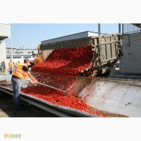 Робота на заводі по виробництву соків в Польщі