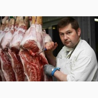 Обвальщик мяса в Германию, Великобританию
