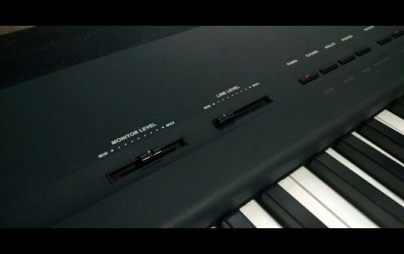 Фото 2. Roland FP-8. Тип инструмента - цифровое пианино