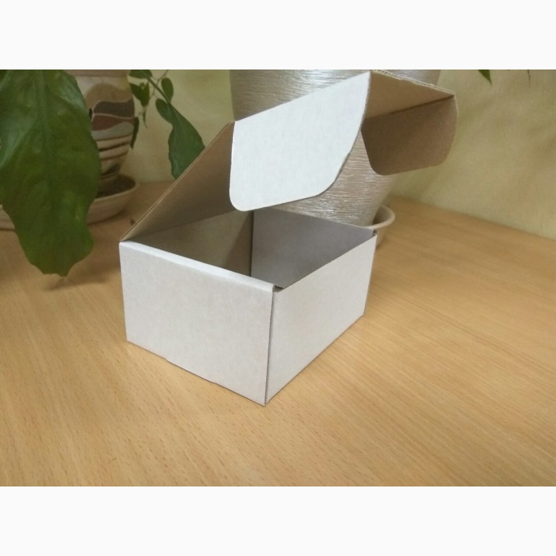 Фото 2. Самосборные коробки из светлого картона