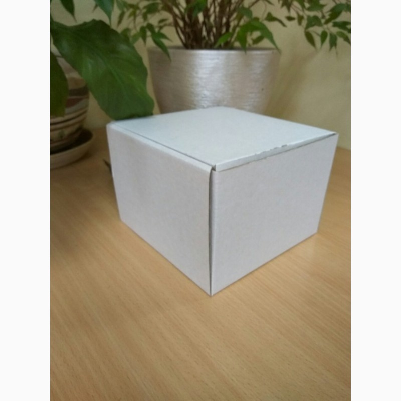 Фото 3. Самосборные коробки из светлого картона