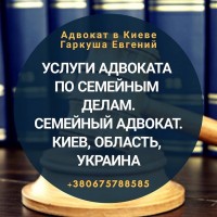 Адвокат в Киеве. Адвокат по уголовным делам