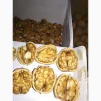 Продам очищенный грецкий орех