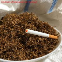 Тютюн махорка самосад табак табачок